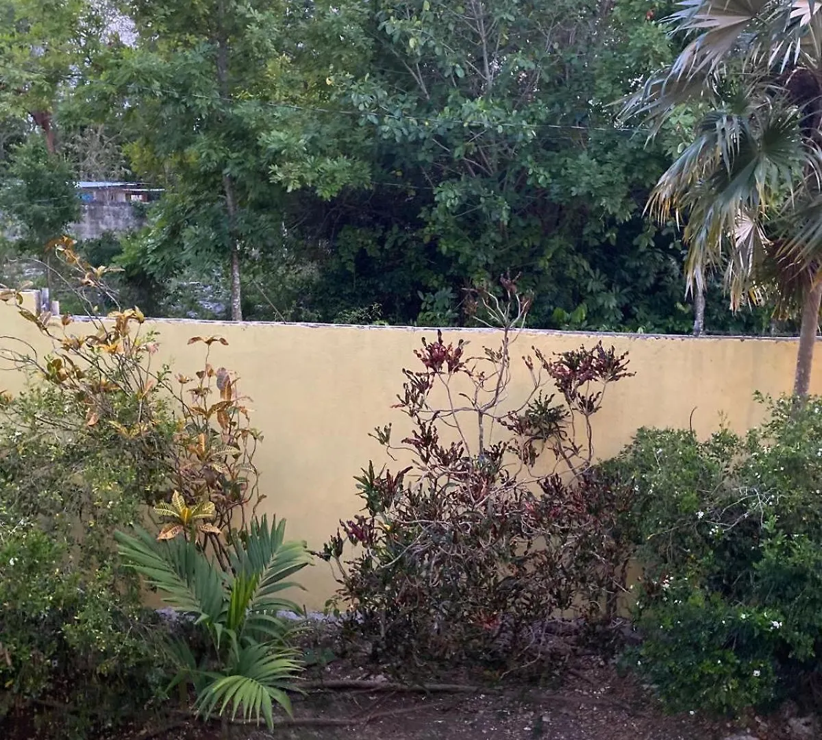 Home Escape Negril