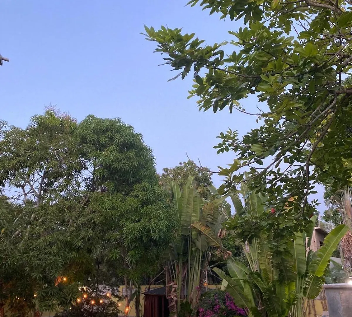 Home Escape Negril Guest house