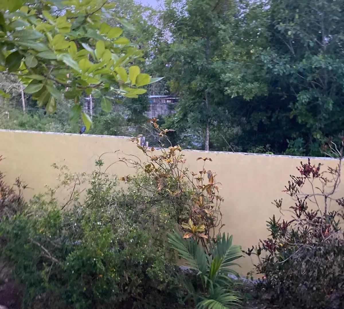 Guest house Home Escape Negril Jamaica