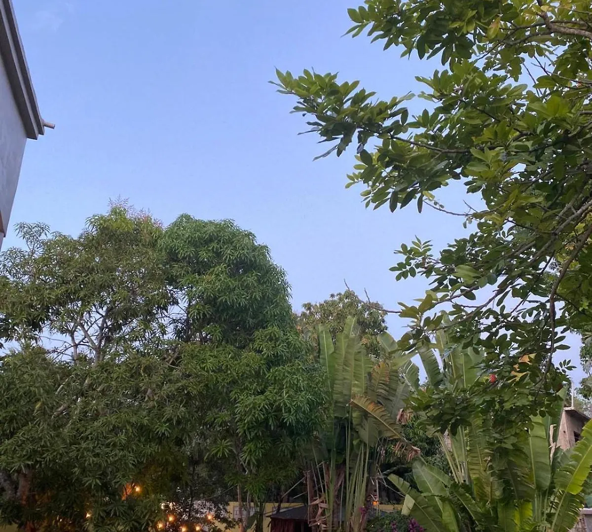 Home Escape Negril 0*,