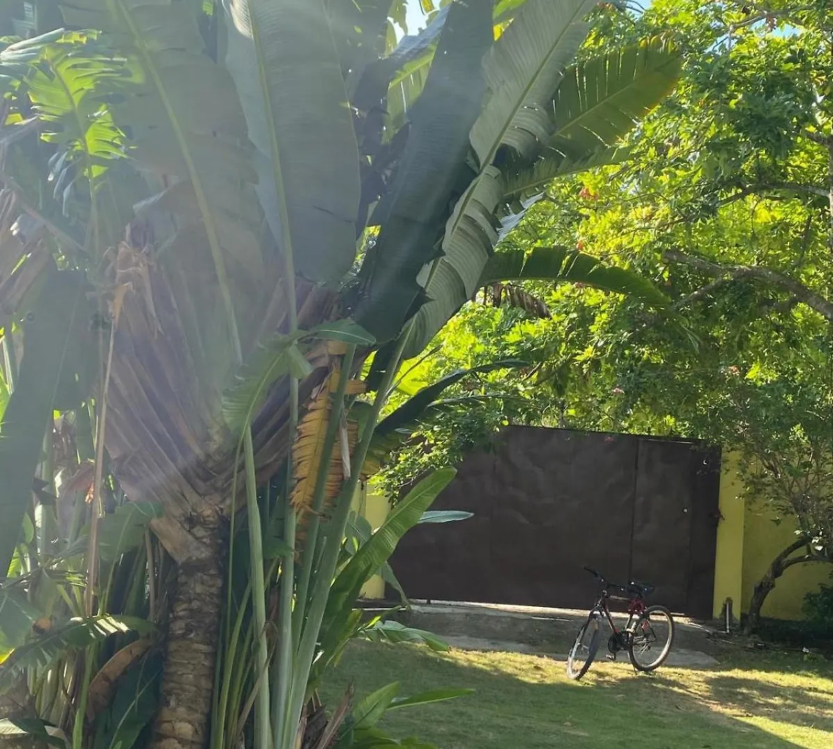 Home Escape Negril